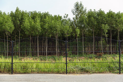 Gartenzaun Mattenzaun Doppelstabmattenzaun Anthrazit Grau Rund bis 50 m